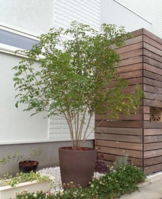 出典元：Pinterest