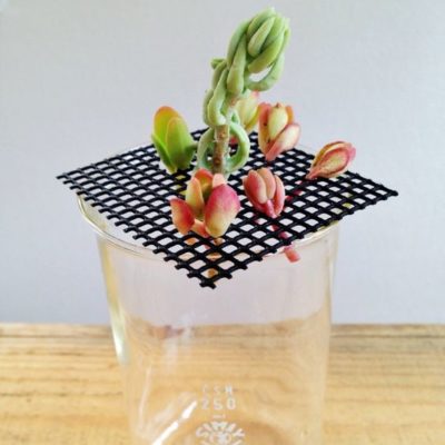 出典元：Pinterest