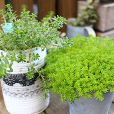 出典元：Instagram