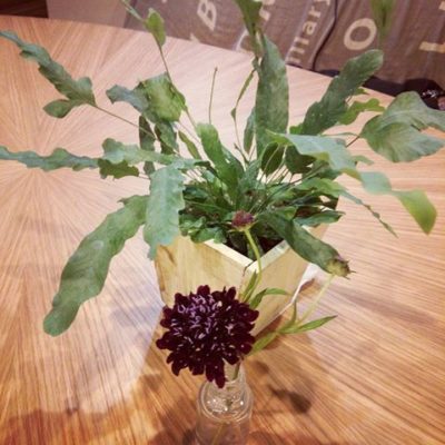 出典元：Instagram