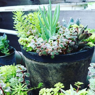 出典元：Instagram