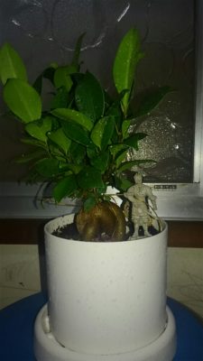 Photo by 歩くさん@GreenSnap