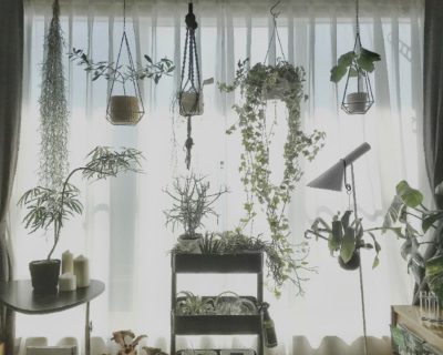 Photo by furu＊さん@GreenSnap