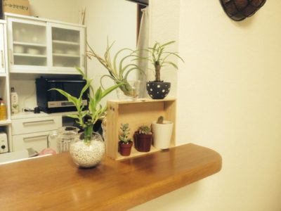 Photo by 田中 亮介さん@GreenSnap