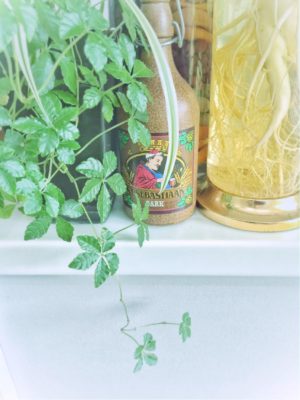 Photo by ringoさん@GreenSnap 