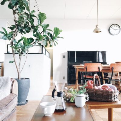 Photo by ik_journalさん@GreenSnap 