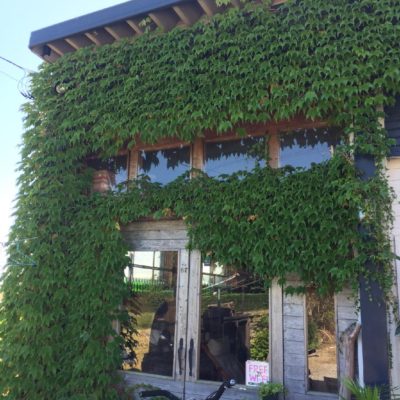 Photo by 小川 陽子さん@GreenSnap 