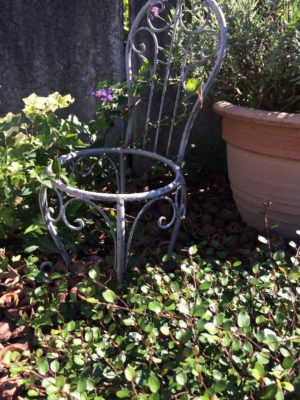 Photo by まころんさん@GreenSnap 