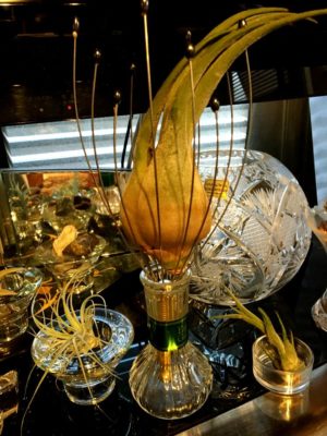 Photo by きゃっぽんさん@GreenSnap