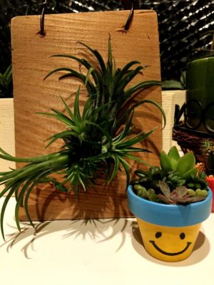 Photo by きゃっぽんさん@GreenSnap