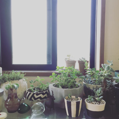 Photo by whiteさん@GreenSnap