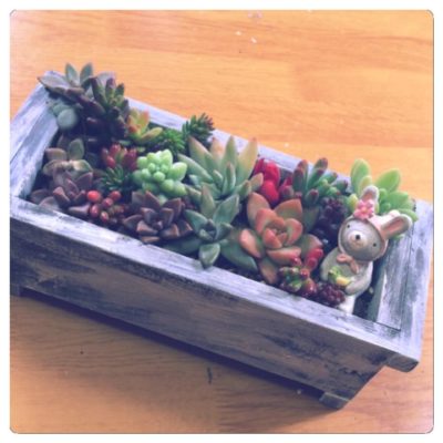 Photo by がんＱさん@GreenSnap