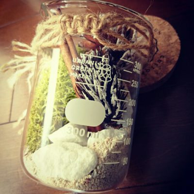 Photo by mintchocoさん@GreenSnap