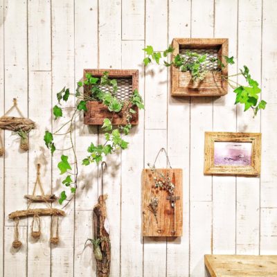 Photo by peace.craftさん@GreenSnap