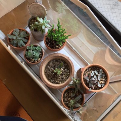 Photo by leona19raさん@GreenSnap