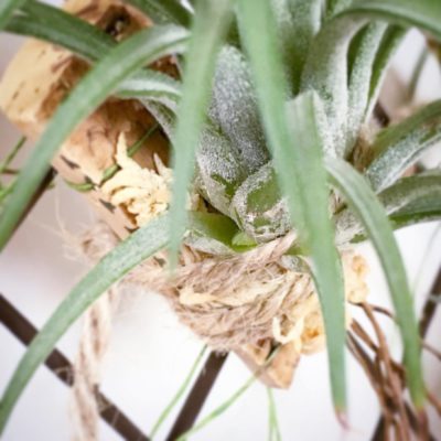 Photo by teddy75さん@GreenSnap