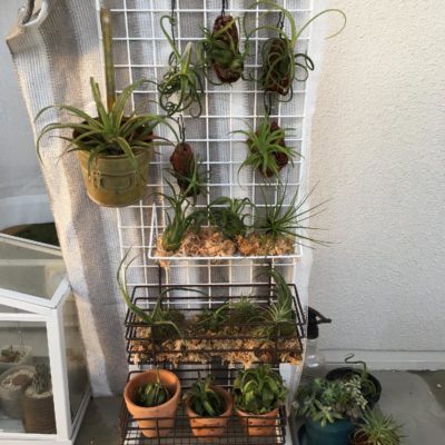 Photo by Qさん@GreenSnap