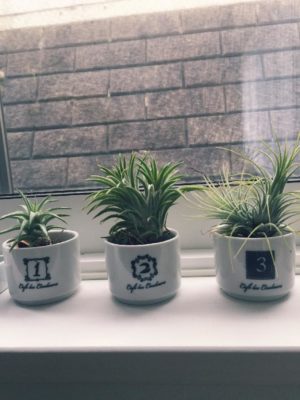 Photo by miniさん@GreenSnap