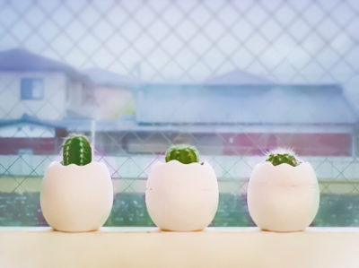 Photo by SEISHINさん@GreenSnap