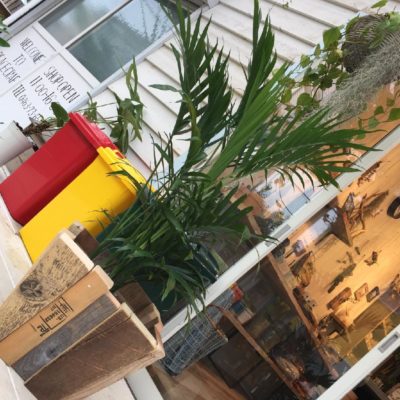 Photo by kissofroseさん@GreenSnap