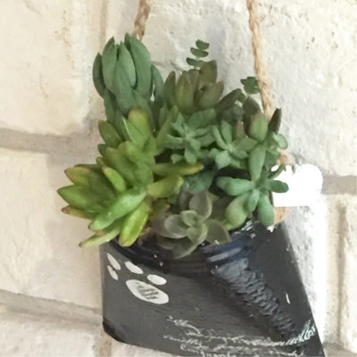 Photo by planteさん@GreenSnap