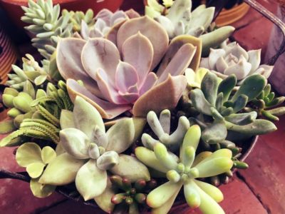 Photo by ティナさん@GreenSnap