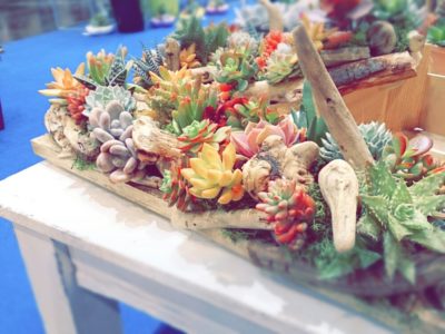 Photo by まりもさん@GreenSnap