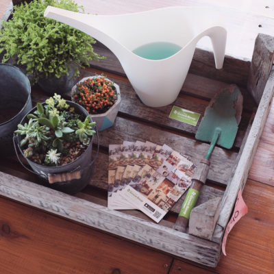 Photo by Blumen Hutteさん@GreenSnap 