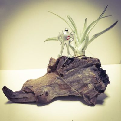 Photo by ゆみこさん@GreenSnap 