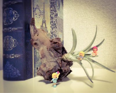 Photo by ゆみこさん@GreenSnap 