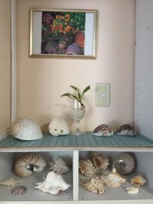 Photo by ミチクサさん@GreenSnap 