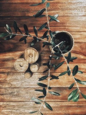 Photo by furu＊さん@GreenSnap