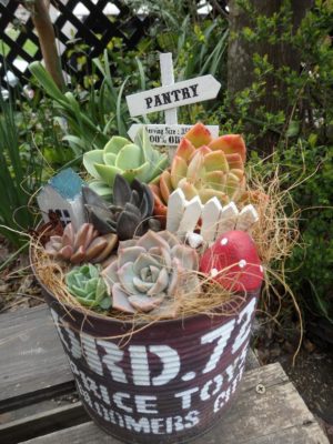 Photo by おまめさん@GreenSnap 