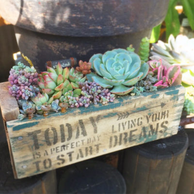 Photo by chii-さん@GreenSnap