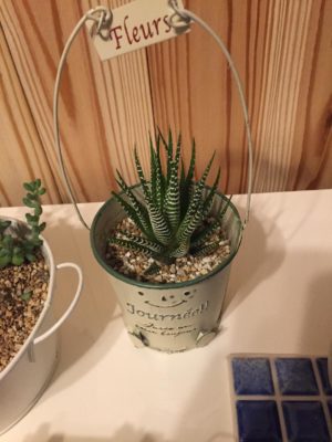 Photo by ratiasuzさん@GreenSnap