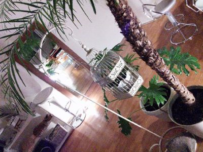 Photo by Oishi Saiko（Gallery編み魔女）さん@GreenSnap