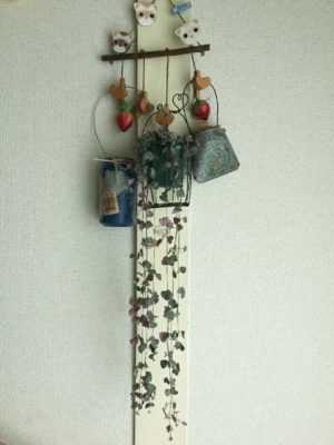 Photo by アル(*^◯^*)さん@GreenSnap