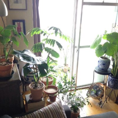 Photo by hittonさん@GreenSnap