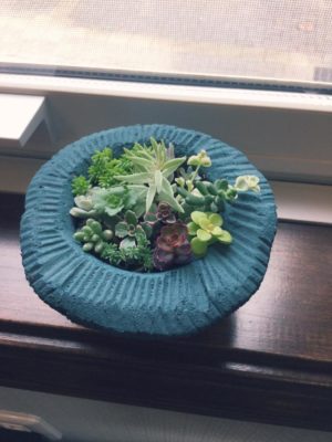 Photo by TANIK BOYさん@GreenSnap