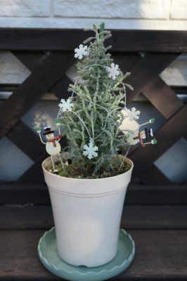 Photo by 栗りんさん@GreenSnap