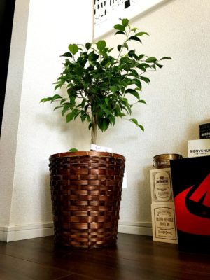 Photo by soraさん@GreenSnap