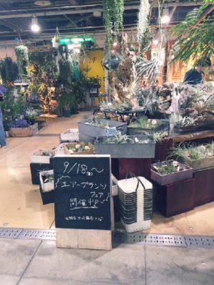 Photo by かつおさん@GreenSnap