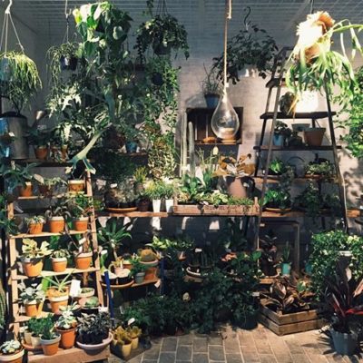 出典元：Instagram