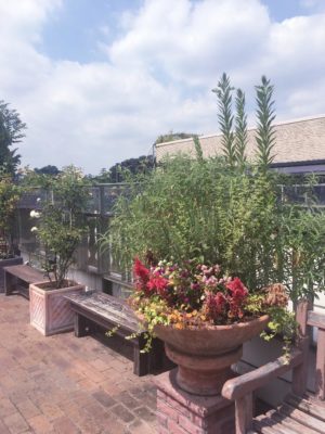 Photo by тамараさん@GreenSnap