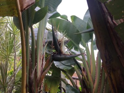 Photo by teruさん@GreenSnap