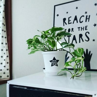 Photo by 花織さん@GreenSnap