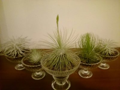 Photo by ひでのすけさん@GreenSnap