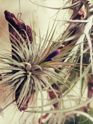 Photo by 213さん@GreenSnap