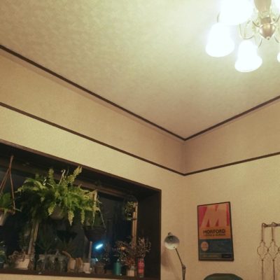 Photo by Goodmorningさん@GreenSnap