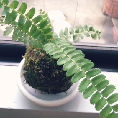 Photo by snowさん@GreenSnap